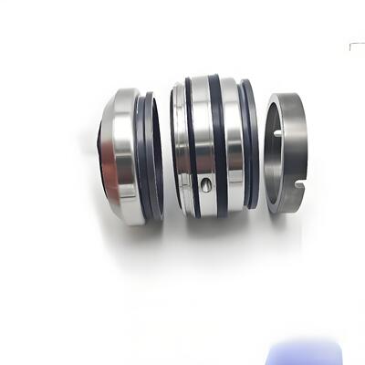 BCH-080 Durable Mechanical Seal for Fristam FDS4 Pump Featuring SIC/SIC/HNBR/C-TC-HNBR Material