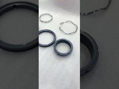 वाकेशा राइट पंप के लिए वेव स्प्रिंग एईएस W13SU डबल मैकेनिकल सील