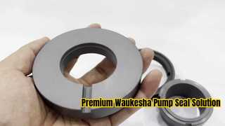 एक नज़दीकी नज़र: वौकेशा पंप के लिए मैकेनिकल सील डुअल फेस AES W13U SiC/SiC, FKM